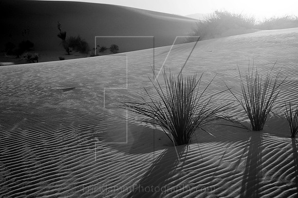 White Sands Series #6
