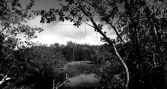 The Glades