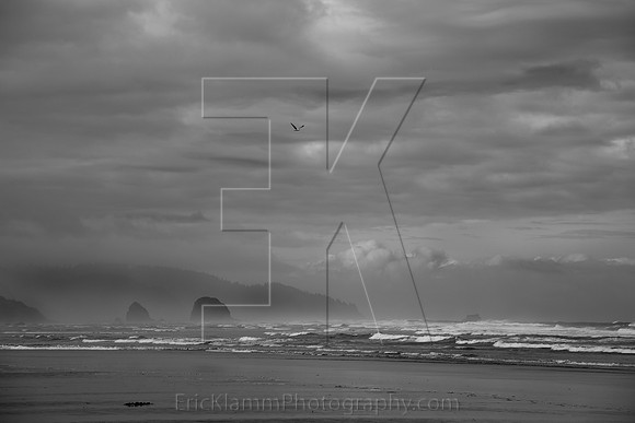 Oregon Coast